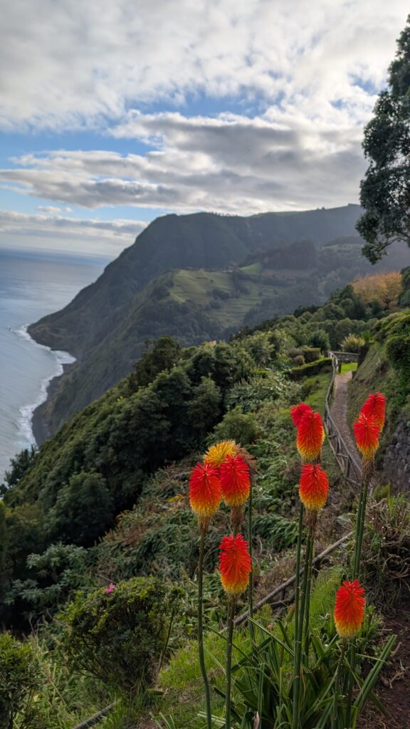 A view of some botanical gardens, showing flowers in front of a rugged coastline.