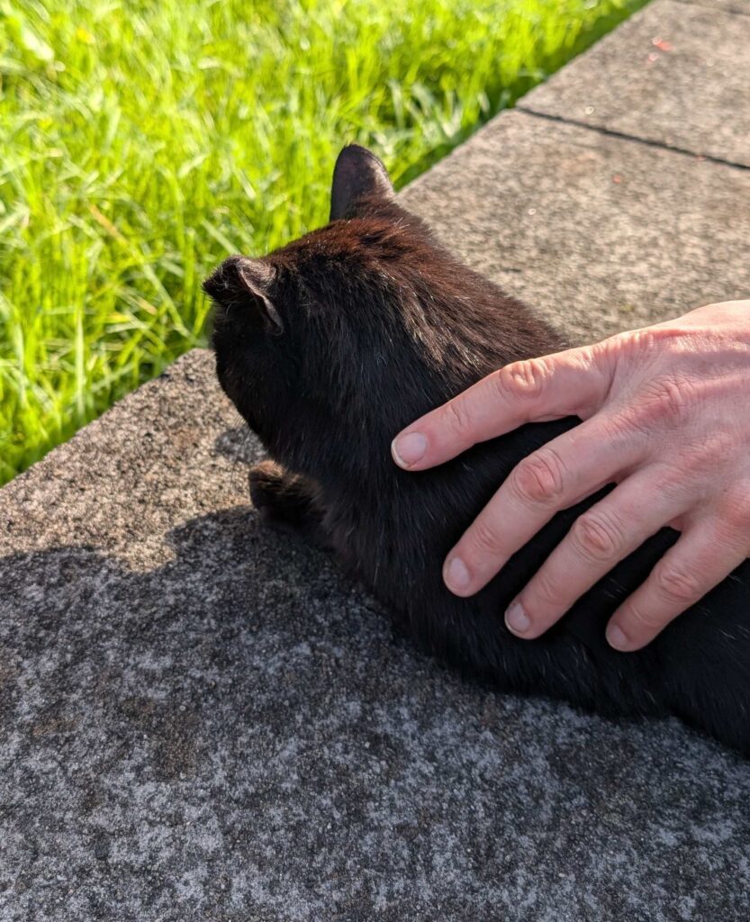 The author's spouse petting a black cat.