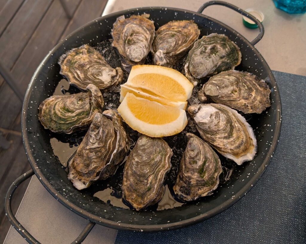 Ten oysters arranged in a circle.